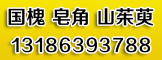 熟货皂角、国槐、大量出售山茱萸