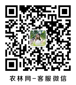 微信